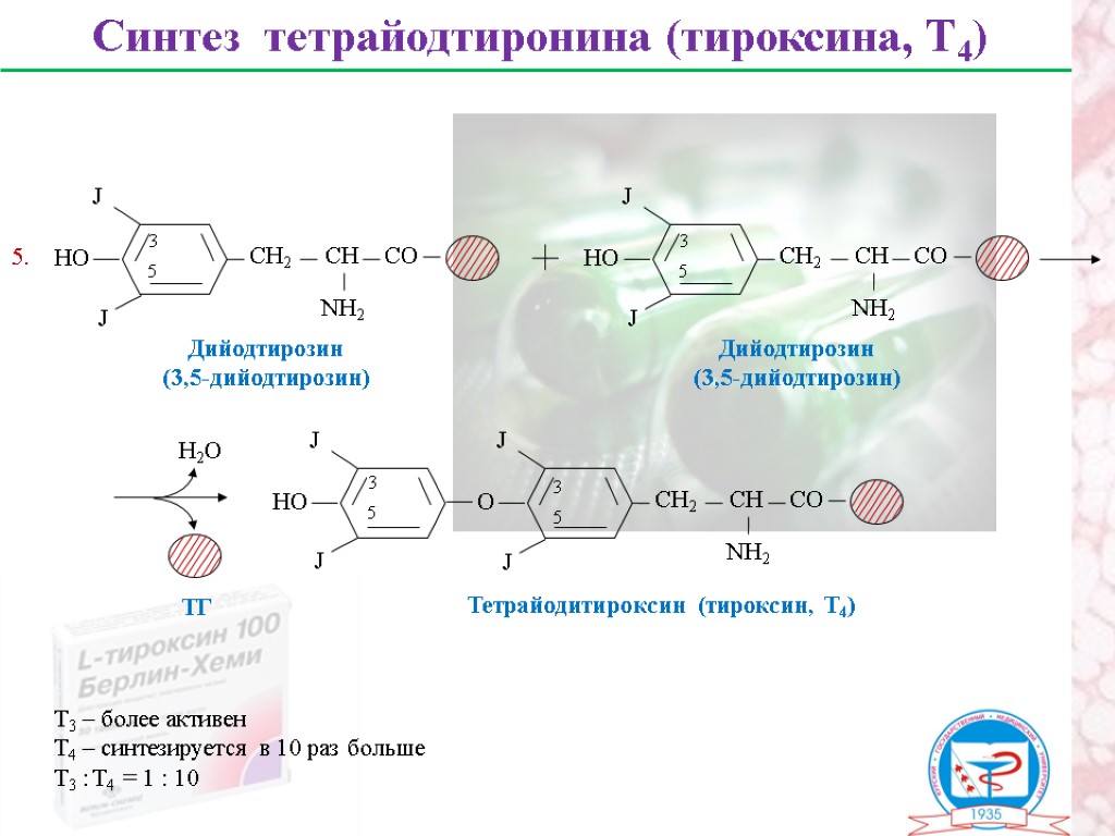 Геранилпирофосфат из активного изопрена с5 образуется в процессе синтеза холестерина по схеме